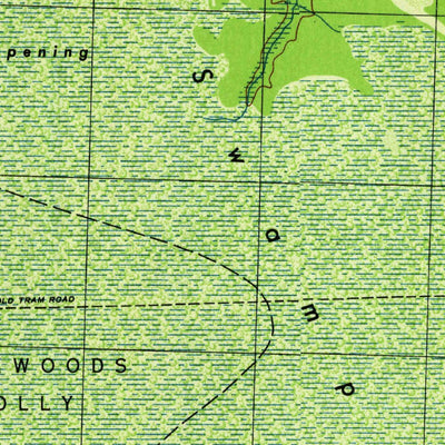 United States Geological Survey Lewis Swamp, NC (1944, 31680-Scale) digital map