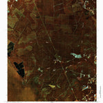 United States Geological Survey Lewis Swamp, NC (1980, 24000-Scale) digital map