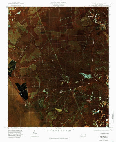 United States Geological Survey Lewis Swamp, NC (1980, 24000-Scale) digital map