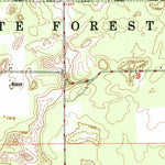 United States Geological Survey Lewiston, MI (1950, 24000-Scale) digital map