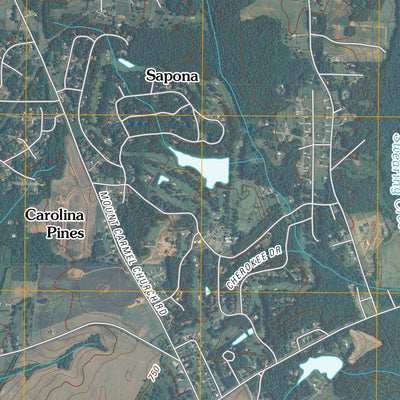 United States Geological Survey Lexington West, NC (2010, 24000-Scale) digital map