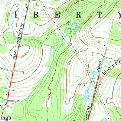 United States Geological Survey Liberty West, NY (1965, 24000-Scale) digital map