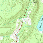 United States Geological Survey Liberty West, NY (1965, 24000-Scale) digital map