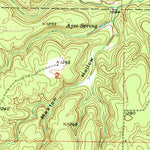 United States Geological Survey Licking, MO (1951, 24000-Scale) digital map