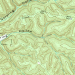 United States Geological Survey Lillamay, TN (1966, 24000-Scale) digital map
