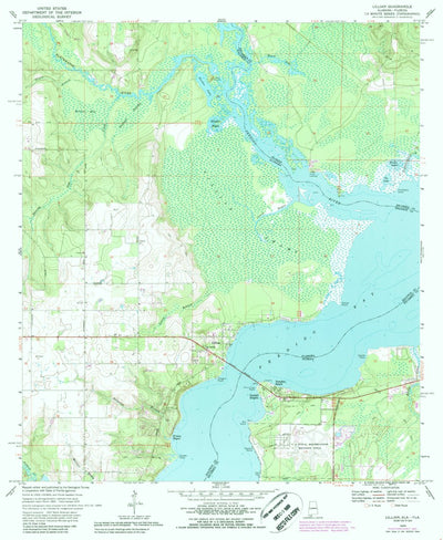 United States Geological Survey Lillian, AL-FL (1970, 24000-Scale) digital map
