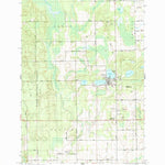 United States Geological Survey Lincoln, MI (1989, 24000-Scale) digital map