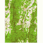 United States Geological Survey Lincoln Mountain, VT (1919, 62500-Scale) digital map