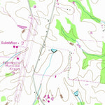 United States Geological Survey Lincoln, TN (1949, 24000-Scale) digital map