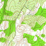 United States Geological Survey Lincoln, VA (1952, 24000-Scale) digital map