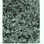 United States Geological Survey Lincolnton West, NC (1976, 24000-Scale) digital map
