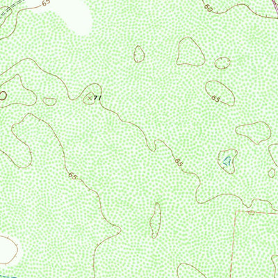 United States Geological Survey Linn NE, TX (1963, 24000-Scale) digital map