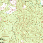 United States Geological Survey Lion Mountain, MT (1962, 24000-Scale) digital map