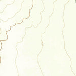 United States Geological Survey Lion Mountain, NM (1964, 24000-Scale) digital map