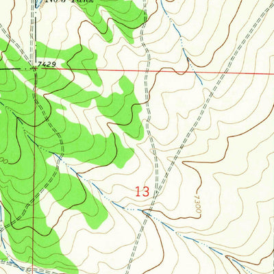 United States Geological Survey Lion Mountain, NM (1964, 24000-Scale) digital map