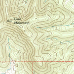 United States Geological Survey Lion Mountain, NM (1965, 24000-Scale) digital map