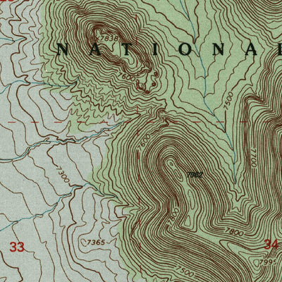 United States Geological Survey Lion Mountain, NM (1995, 24000-Scale) digital map