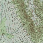 United States Geological Survey Lion Mountain, NM (1995, 24000-Scale) digital map