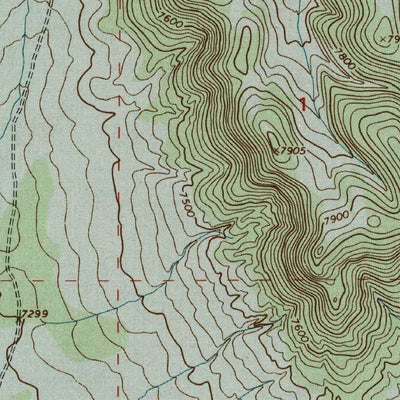 United States Geological Survey Lion Mountain, NM (1995, 24000-Scale) digital map
