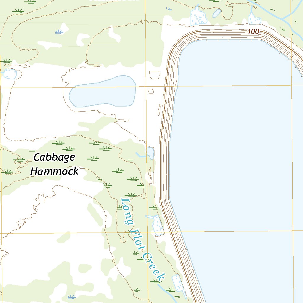 Lithia, FL (2021, 24000-Scale) Map by United States Geological Survey ...