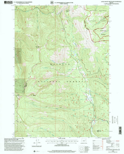 United States Geological Survey Little Baldy Mountain, OR (1998, 24000-Scale) digital map