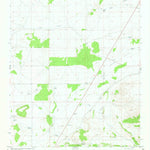 United States Geological Survey Little Black Peak NE, NM (1981, 24000-Scale) digital map