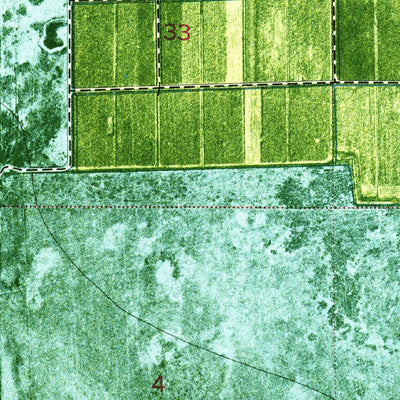 United States Geological Survey Little Cypress Swamp, FL (1974, 24000-Scale) digital map