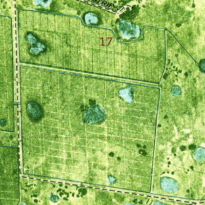 United States Geological Survey Little Cypress Swamp, FL (1974, 24000-Scale) digital map