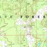United States Geological Survey Little Lake, MI (1985, 24000-Scale) digital map