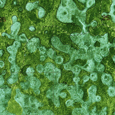 United States Geological Survey Little Marsh, FL (1974, 24000-Scale) digital map