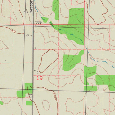 United States Geological Survey Little Rose, WI (1981, 24000-Scale) digital map