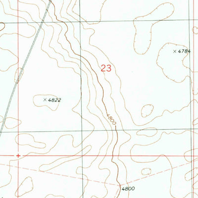 United States Geological Survey Little San Pascual Mountain, NM (1982, 24000-Scale) digital map