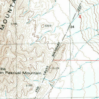 United States Geological Survey Little San Pascual Mountain, NM (1982, 24000-Scale) digital map