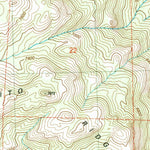 United States Geological Survey Little Shuteye Peak, CA (2004, 24000-Scale) digital map