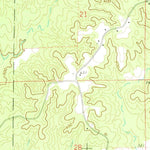 United States Geological Survey Little Springs, MS (1972, 24000-Scale) digital map