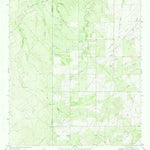 United States Geological Survey Live Oak Hollow, TX (1969, 24000-Scale) digital map