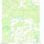 United States Geological Survey Live Oak, TX (1970, 24000-Scale) digital map