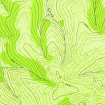 United States Geological Survey Livengood A-1, AK (1954, 63360-Scale) digital map