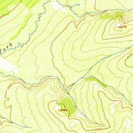 United States Geological Survey Livengood D-3, AK (1954, 63360-Scale) digital map