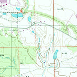 United States Geological Survey Livingston, AL (1974, 24000-Scale) digital map