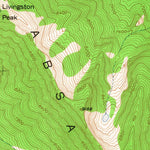 United States Geological Survey Livingston Peak, MT (1951, 24000-Scale) digital map