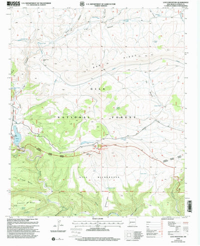 United States Geological Survey Loco Mountain, NM (1999, 24000-Scale) digital map