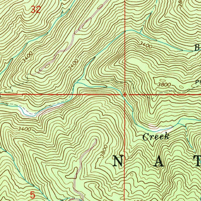 United States Geological Survey Lodge Point, ID (1966, 24000-Scale) digital map