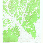 United States Geological Survey Log Canyon, NM (1981, 24000-Scale) digital map