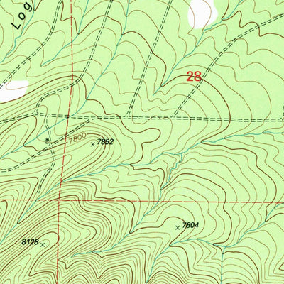 United States Geological Survey Log Canyon, NM (1995, 24000-Scale) digital map