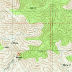United States Geological Survey Lone Mountain, NM (1982, 24000-Scale) digital map