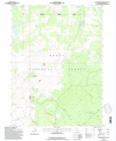 United States Geological Survey Lone Pine Butte, CA (1993, 24000-Scale) digital map