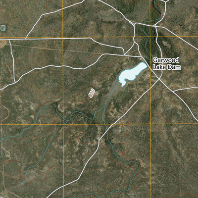 United States Geological Survey Lone Tree Hill, TX (2010, 24000-Scale) digital map