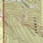United States Geological Survey Loneman Creek, MT (1999, 24000-Scale) digital map