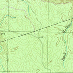 United States Geological Survey Lonewood, TN (1954, 24000-Scale) digital map